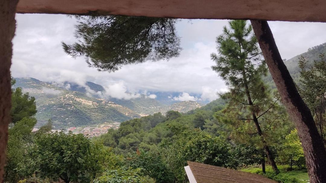 Photo of Others in Nice