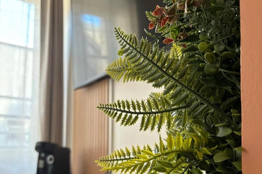 Photo of Others in Bourges