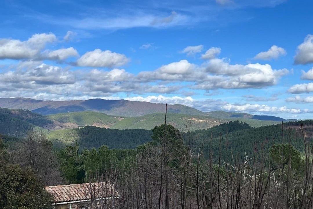 Photo of Others in La Vernarede