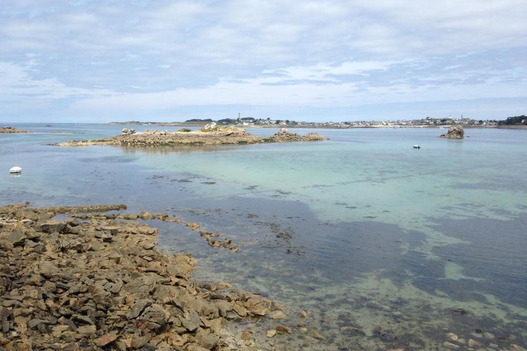 Photo of Others in Roscoff