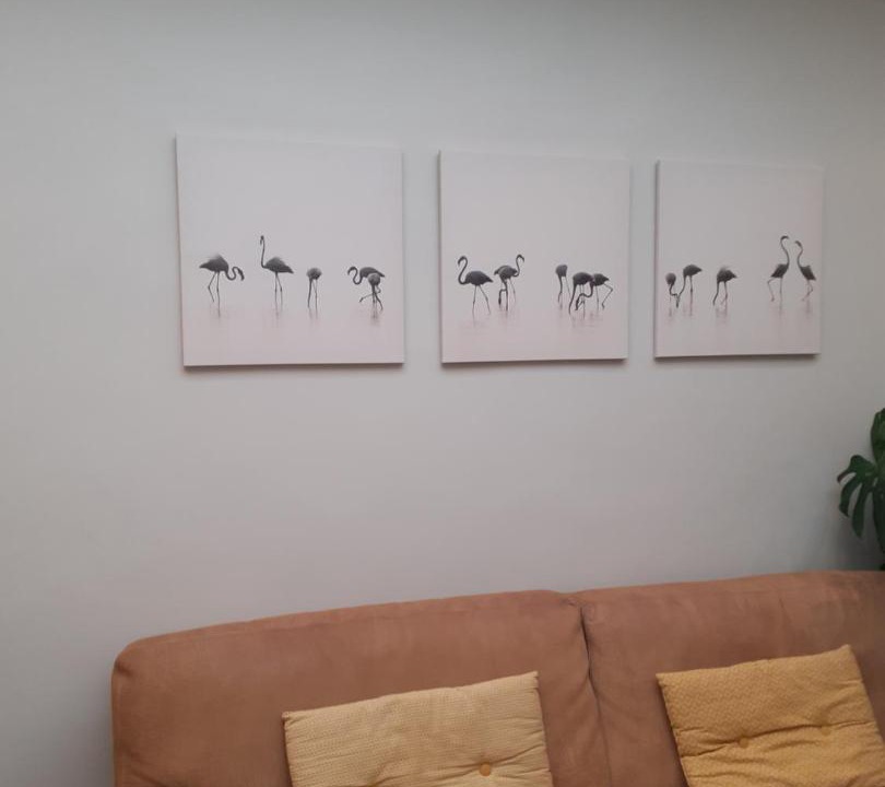 Photo of Livingroom in Steenvoorde