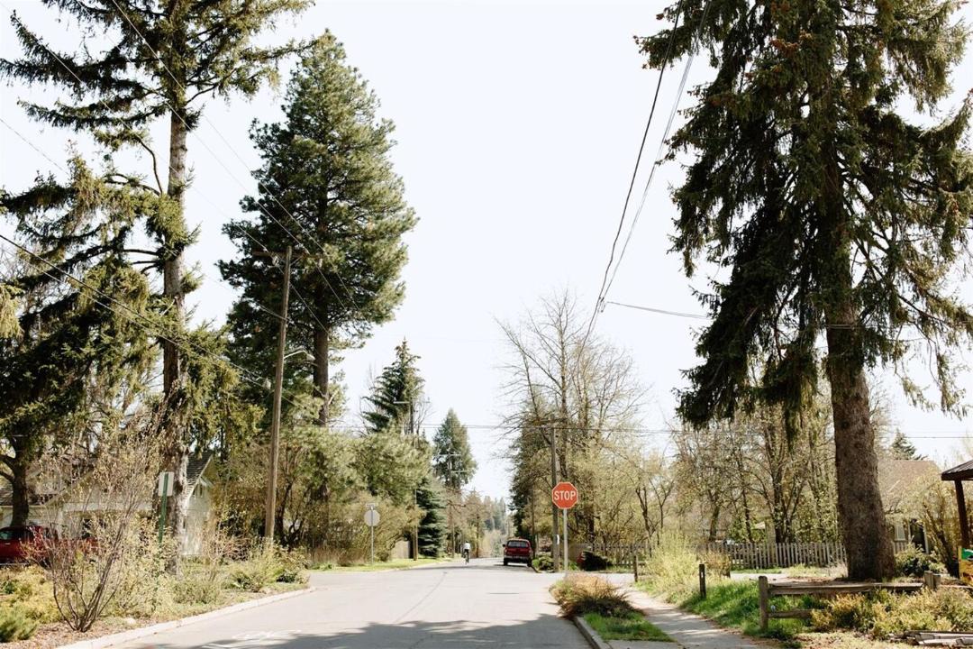 Photo of Others in Moscow