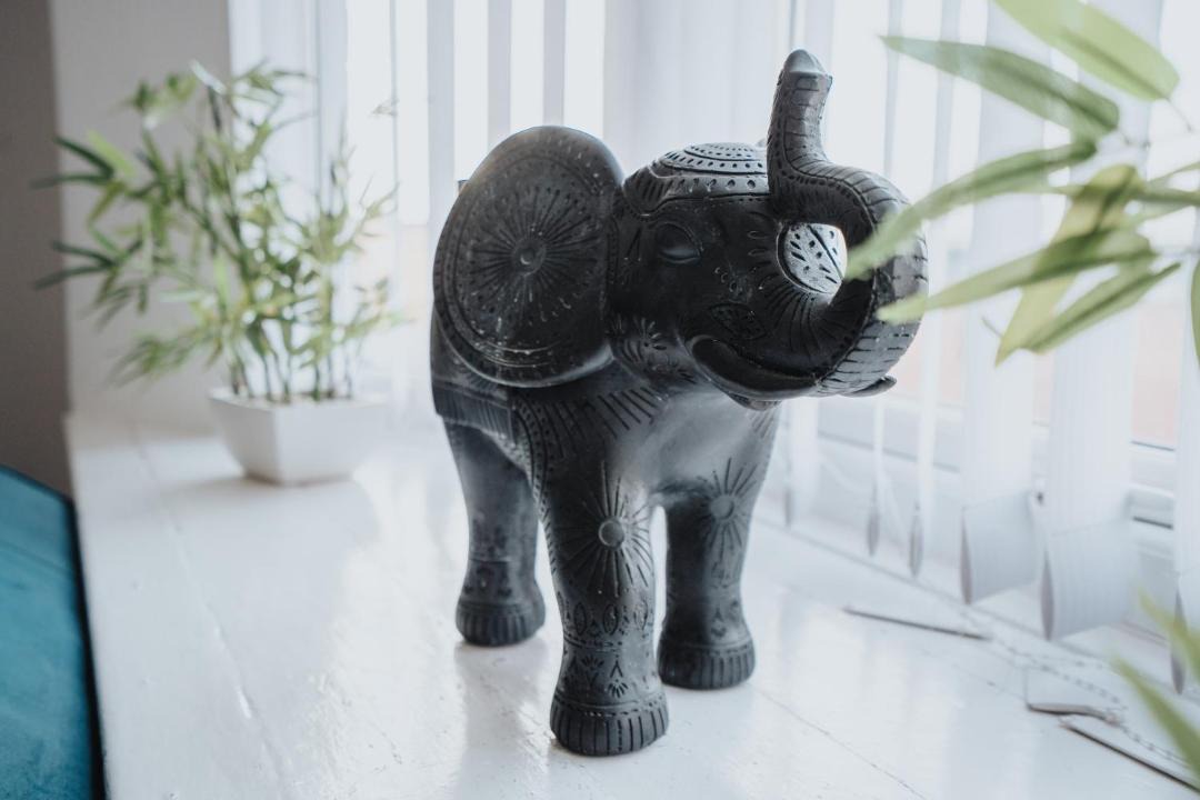 Photo of Others in Bootle