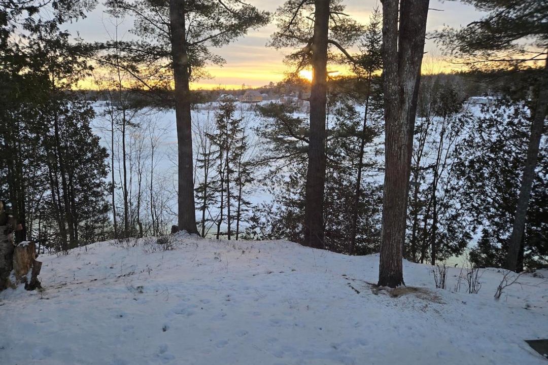 Photo of Others in Saint David