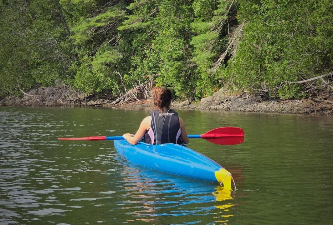 Photo of Others in Saint David