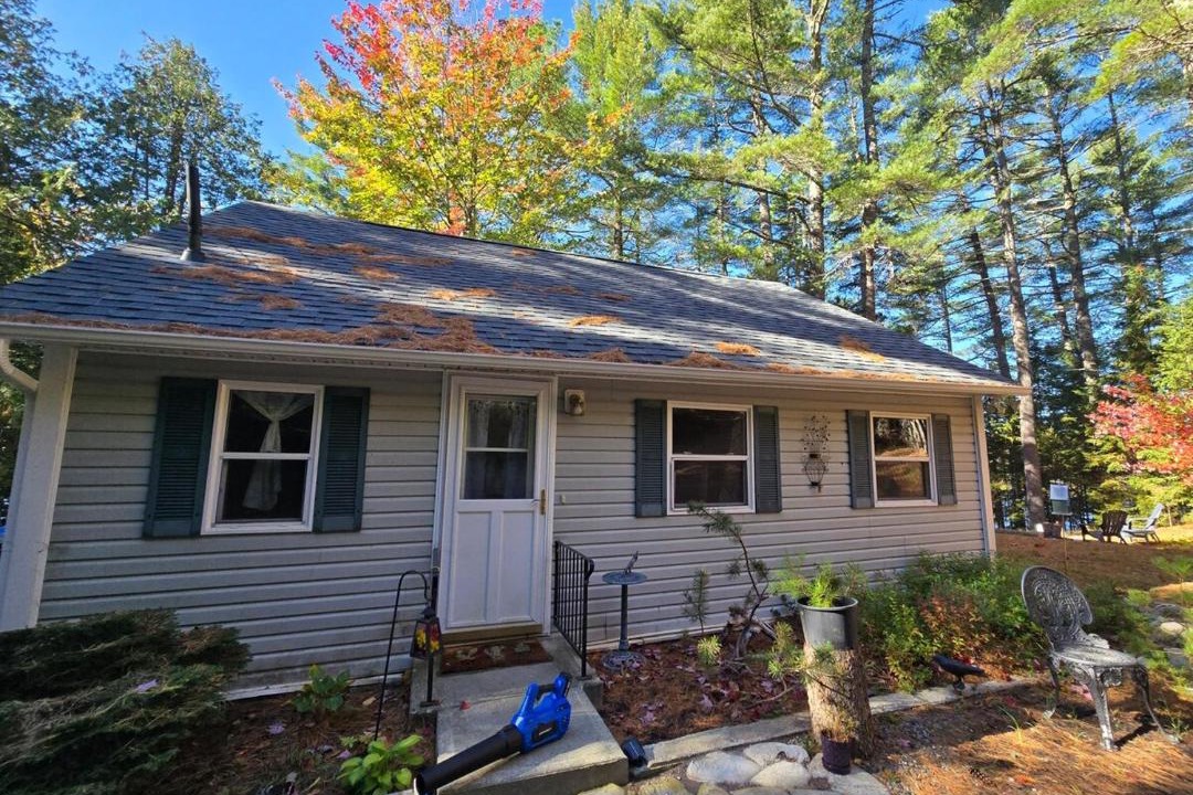 Photo of Others in Saint David