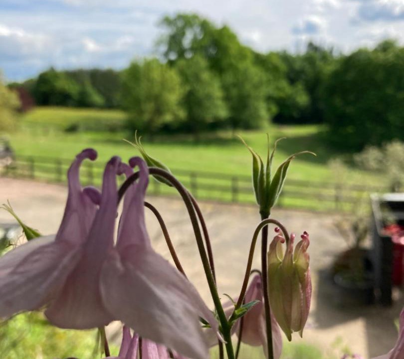 Photo of Others in Longhope