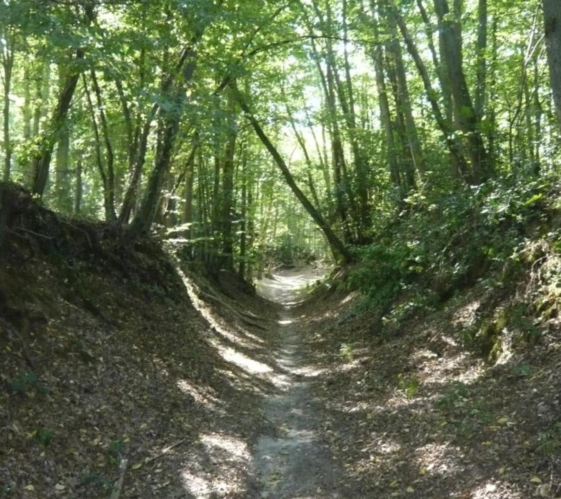 Photo of Others in Dampierre-en-Yvelines