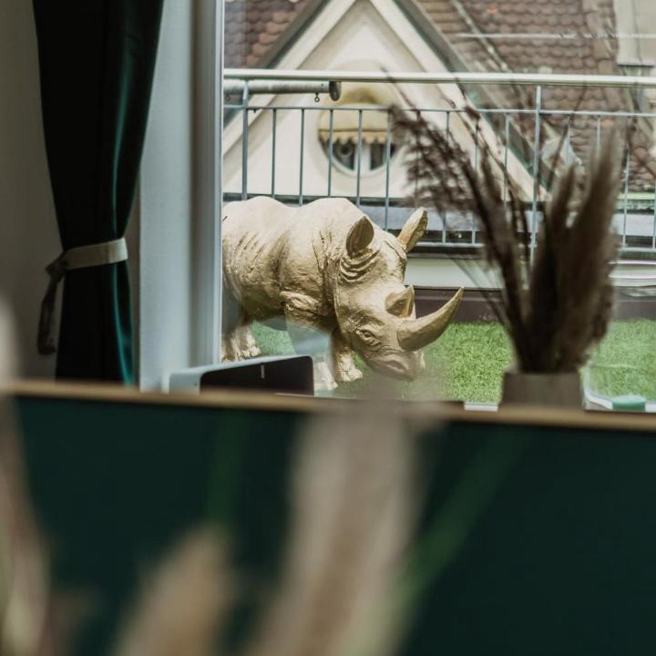 Photo of Others in Basel City Centre