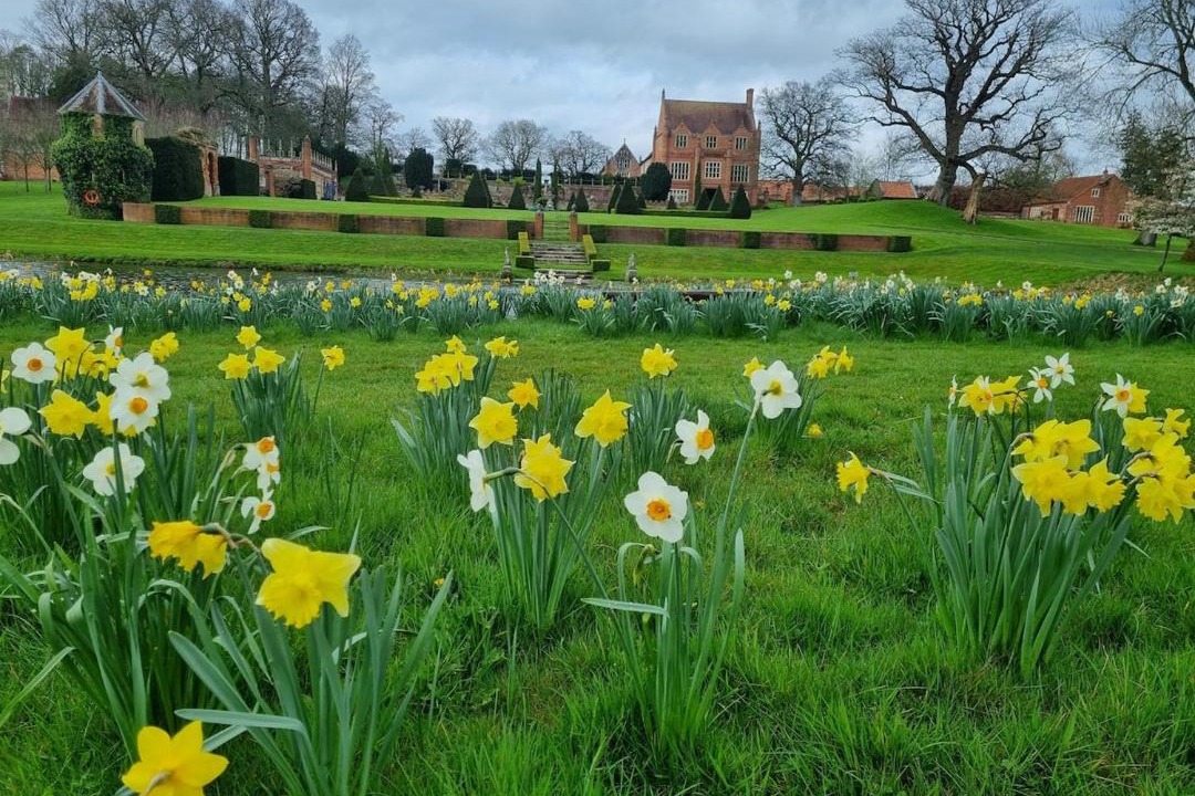 Photo of Others in Brampton