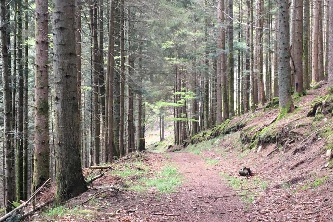 Photo of Others in Xonrupt-Longemer