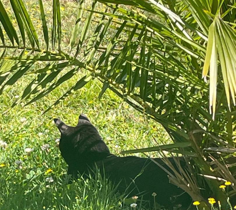 Photo of Outdoor in Soyaux