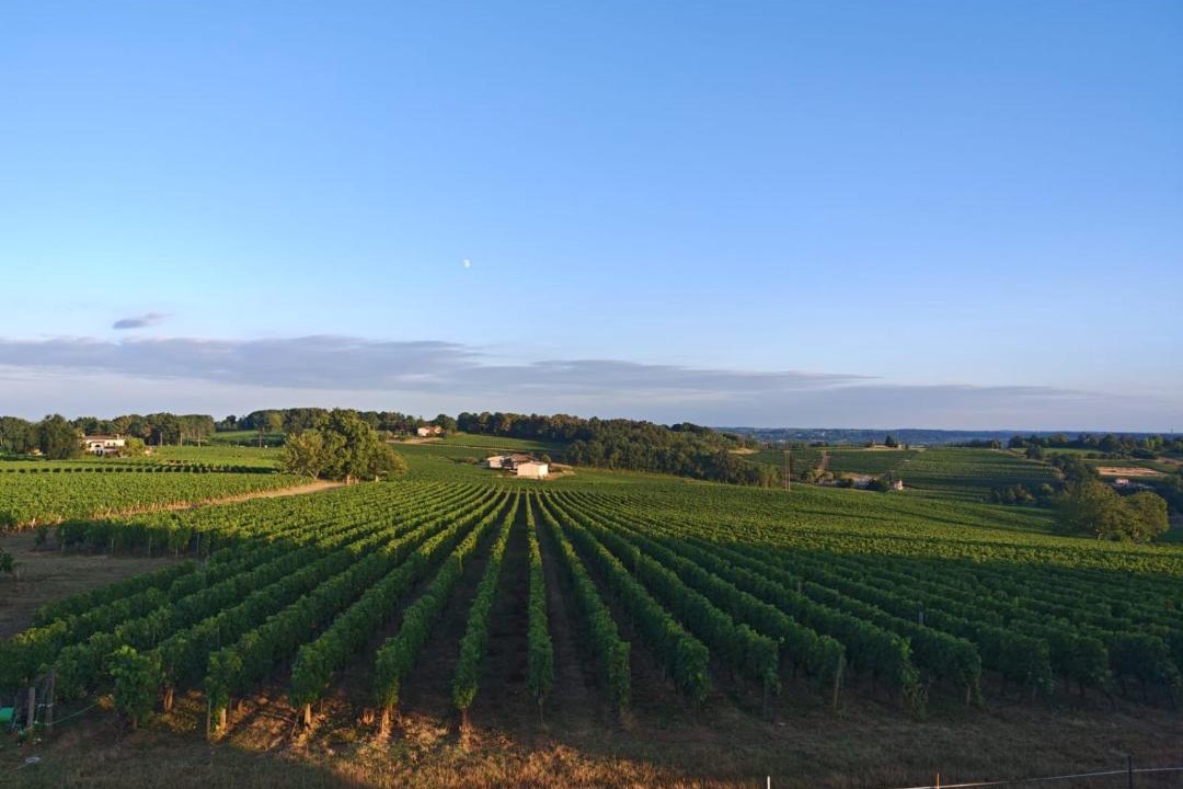 Photo of Others in Belves-de-Castillon