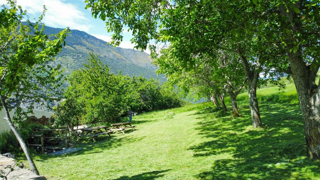 Photo of Others in Rialp