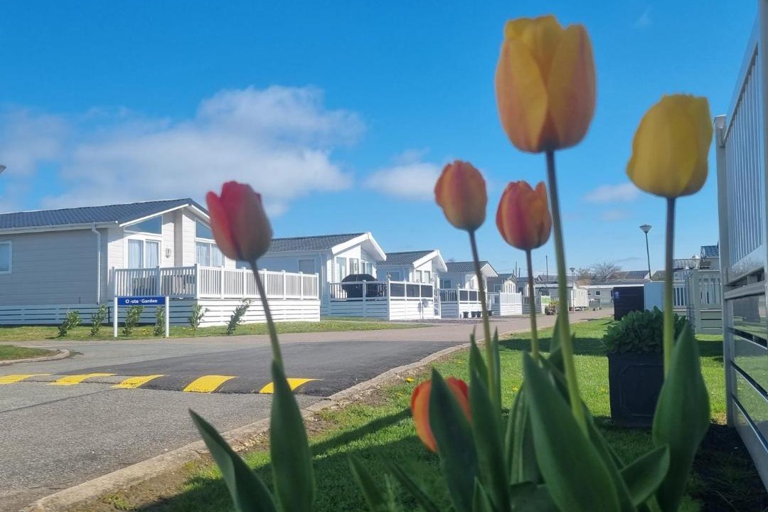 Photo of Others in Seasalter