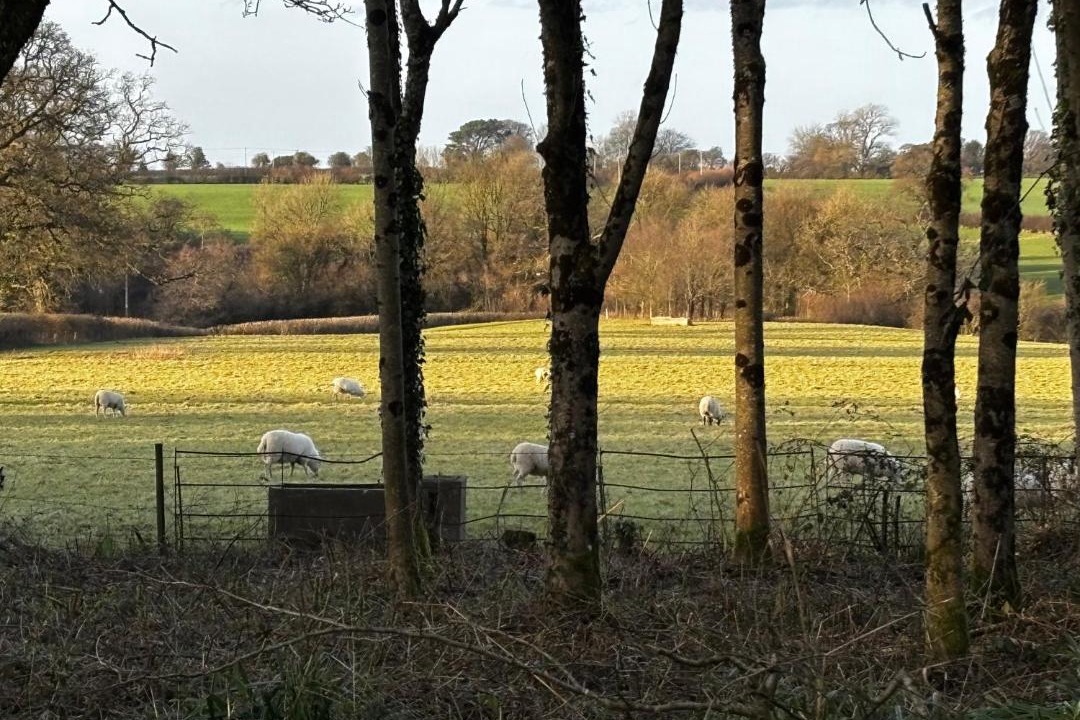 Photo of Others in Melbury Osmond