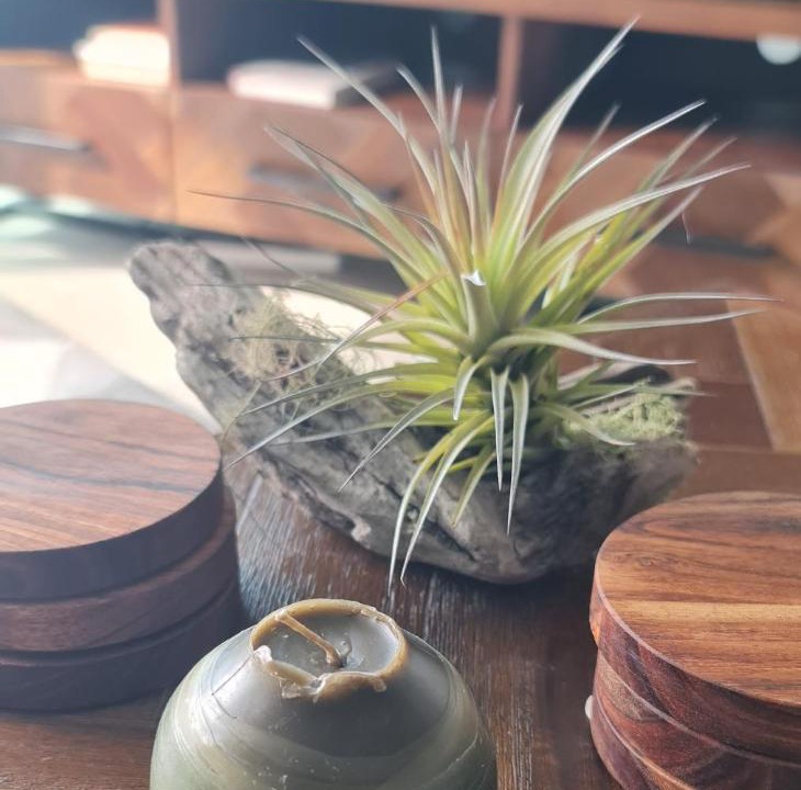 Photo of Others in Cable Bay