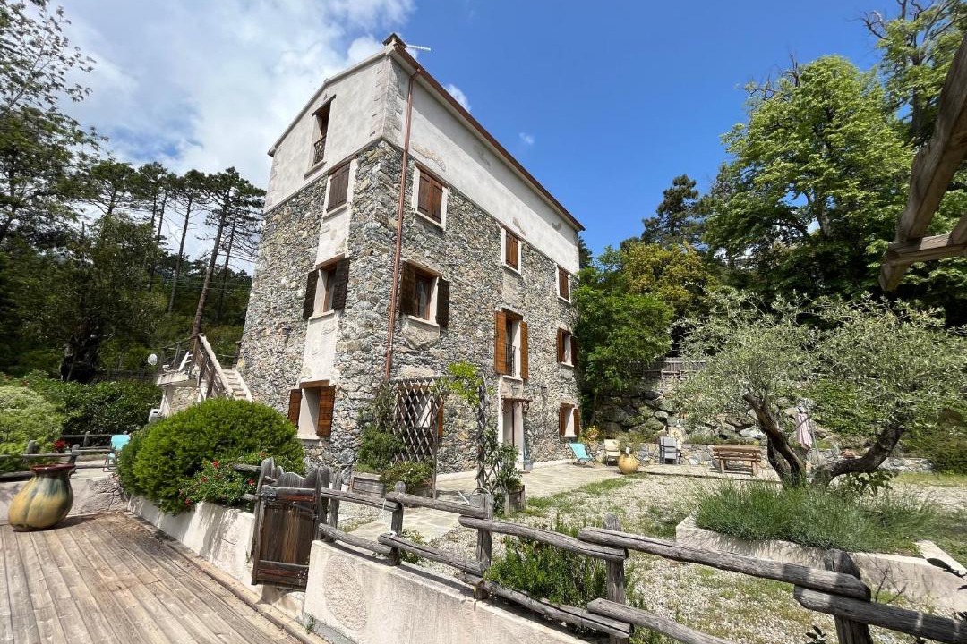 Photo of Others in Pietroso