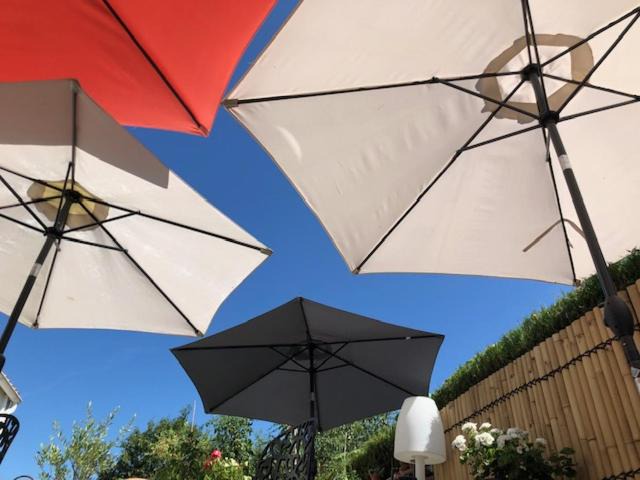 Photo of Others in Montaigu