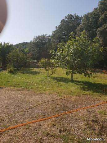 Photo of Others in Bonifacio