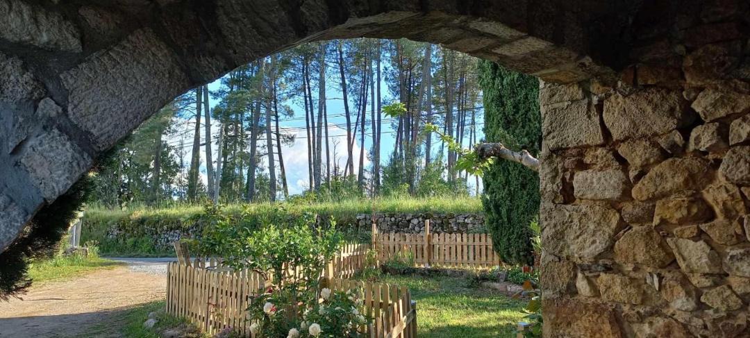 Photo of Others in Rosieres