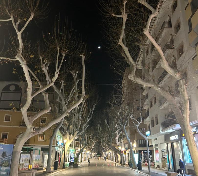 Photo of Others in Denia
