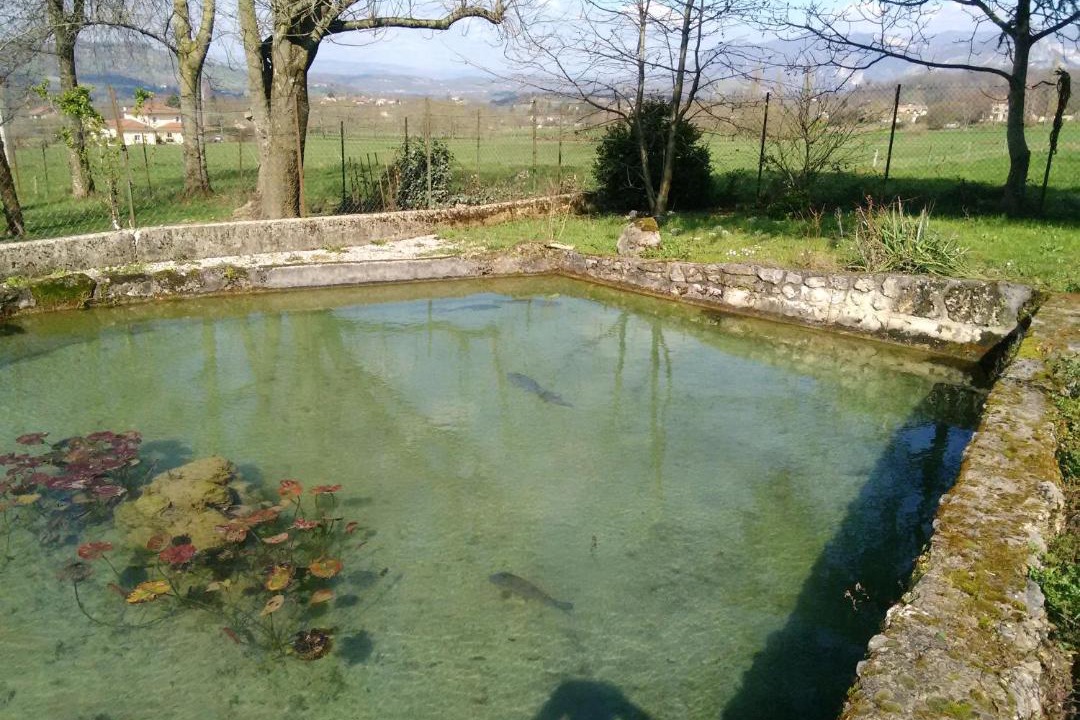 Photo of Others in Saint-Jean-en-Royans