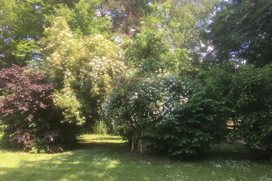 Photo of Others in Bois-le-Roi