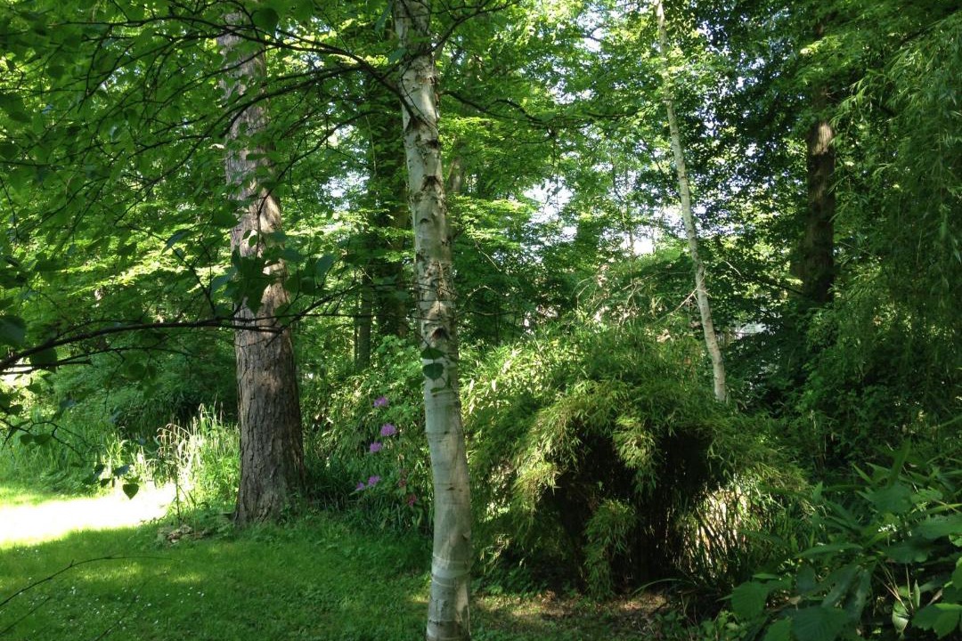 Photo of Others in Bois-le-Roi