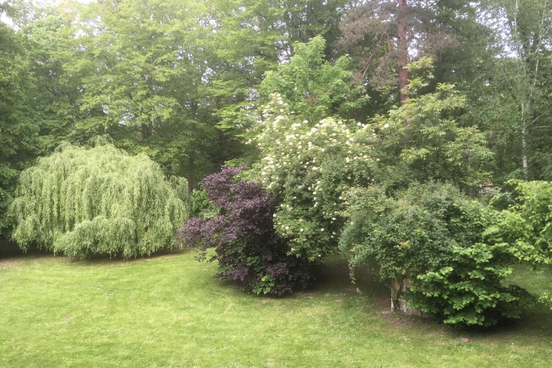 Photo of Others in Bois-le-Roi