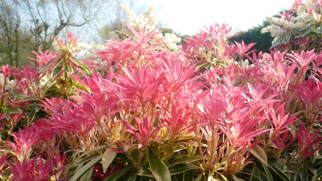 Photo of Others in Le Tilleul