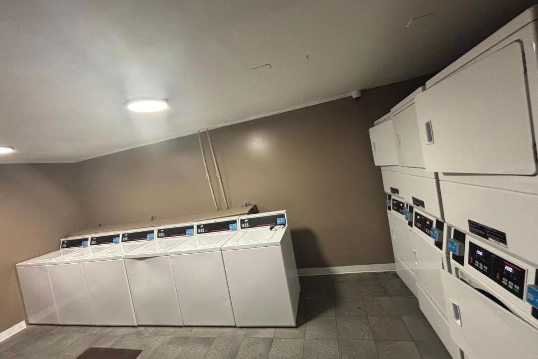 Photo of Others in Stone Mountain