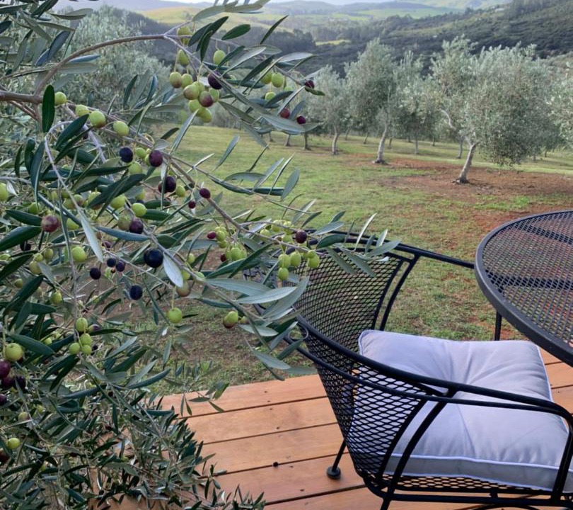 Photo of Others in Far North District