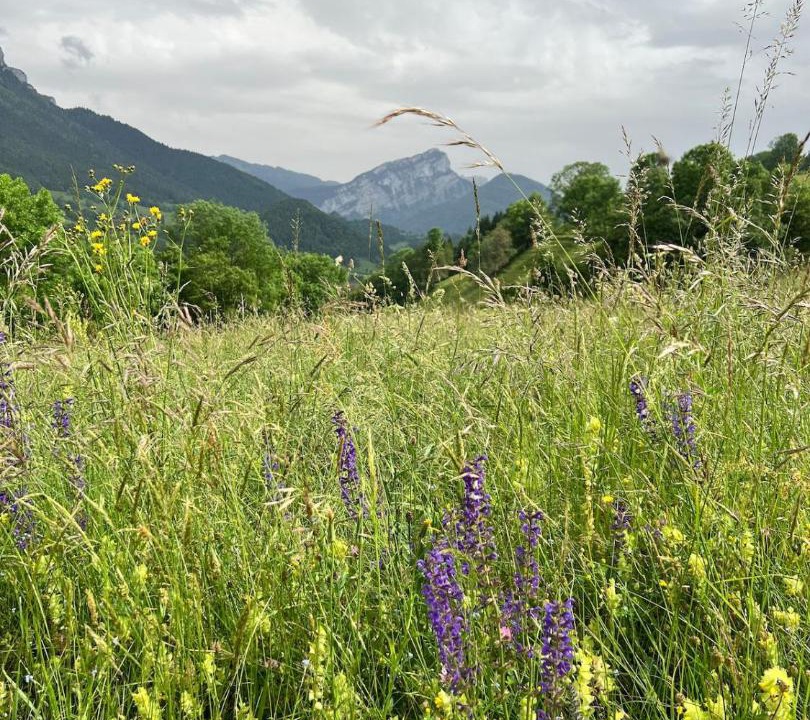 Photo of Others in Entremont-le-Vieux