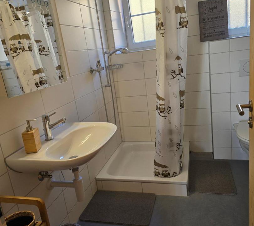 Photo of Bathroom in Oberbuchsiten
