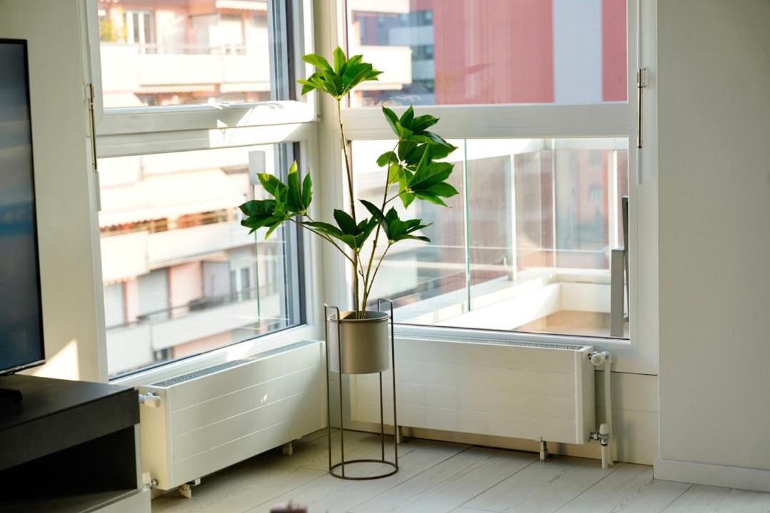 Photo of Livingroom in Paradiso