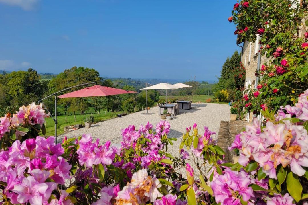 Photo of Others in Augne