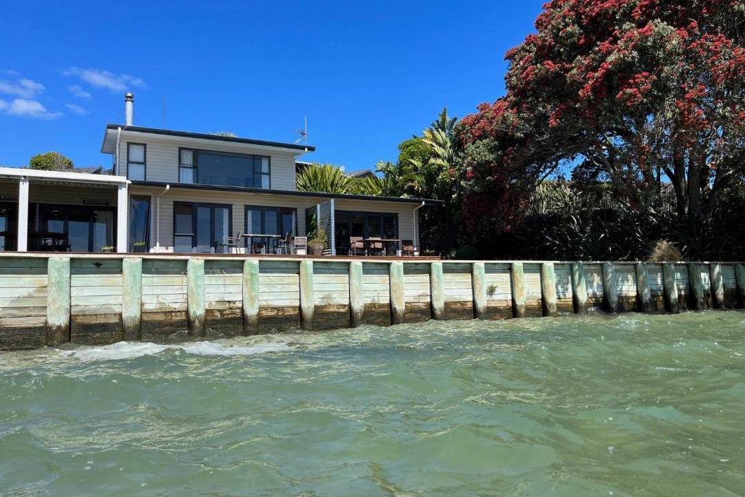 Photo of Others in Clarks Beach