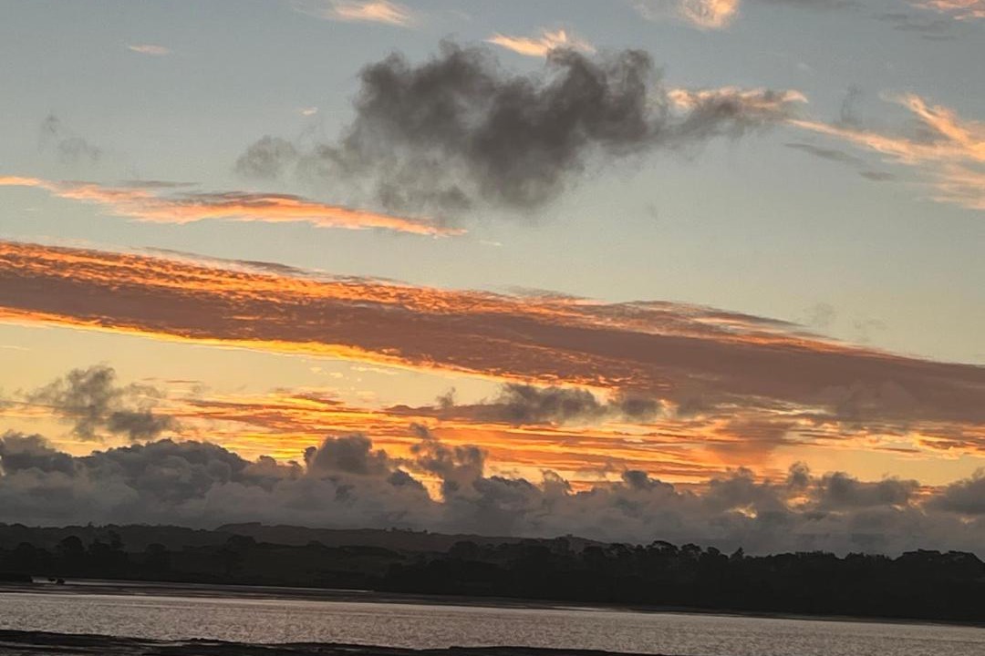 Photo of Others in Clarks Beach