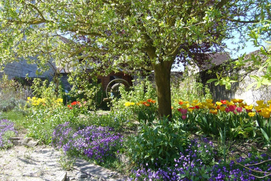 Photo of Others in Pacy-sur-Armancon