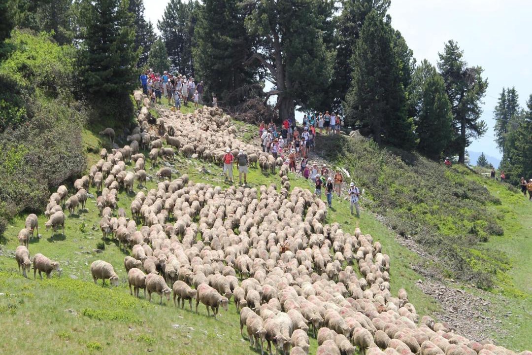 Photo of Others in Chamrousse