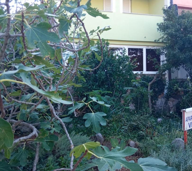 Photo of Others in Ribarica