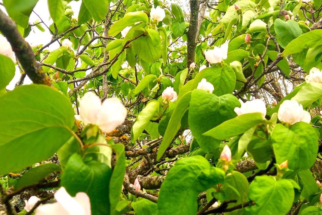 Photo of Outdoor in Sarrant