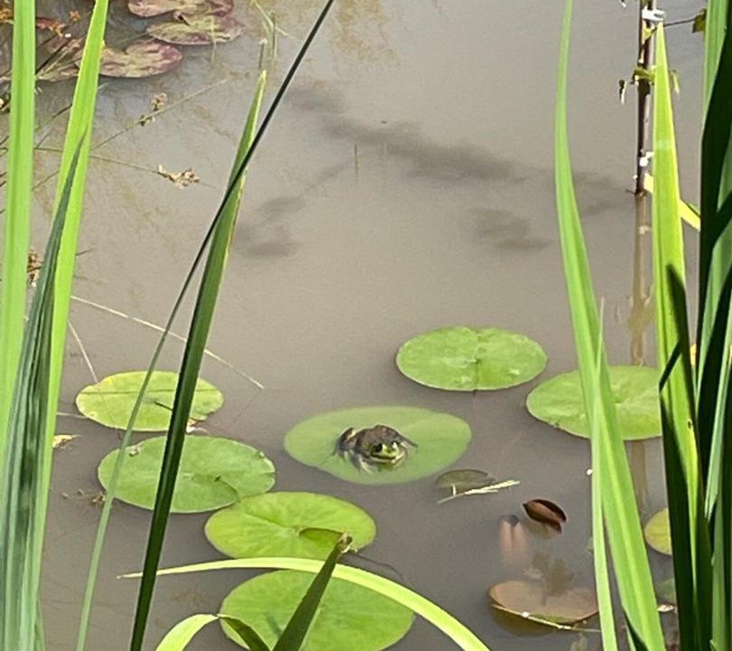 Photo of Others in Brownsville