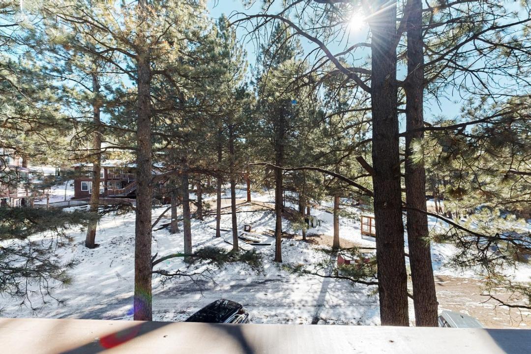 Photo of Others in Angel Fire