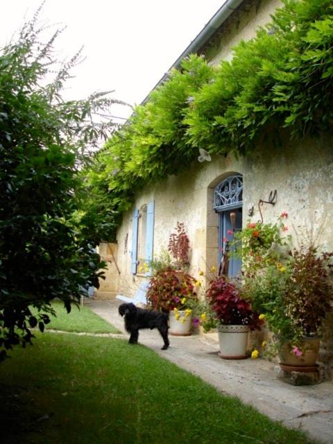 Photo of Others in Pujols