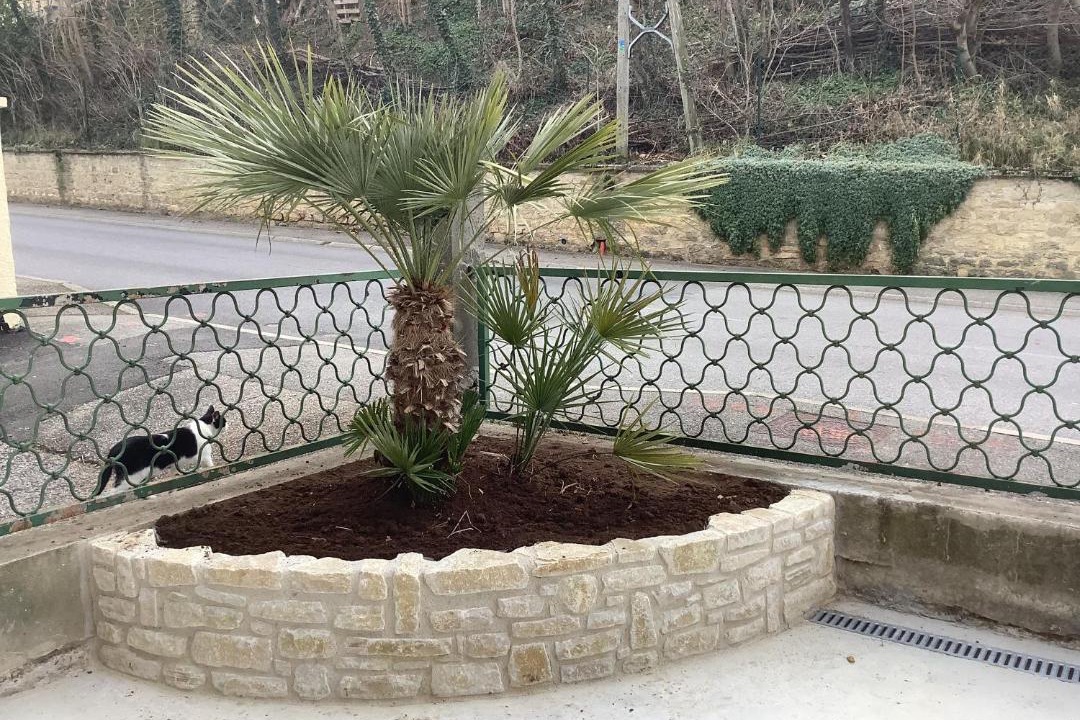 Photo of Others in Upie