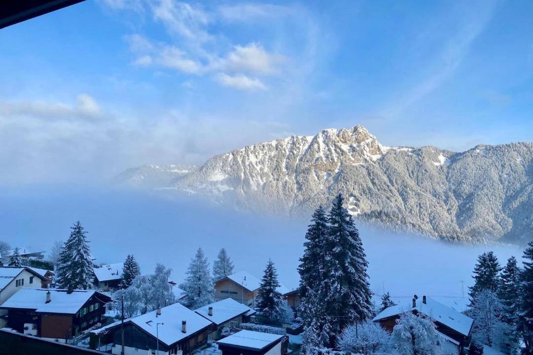 Photo of Others in Leysin