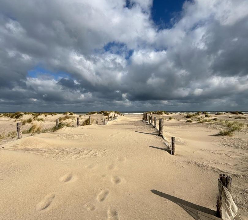 Photo of Others in Malo-les-Bains