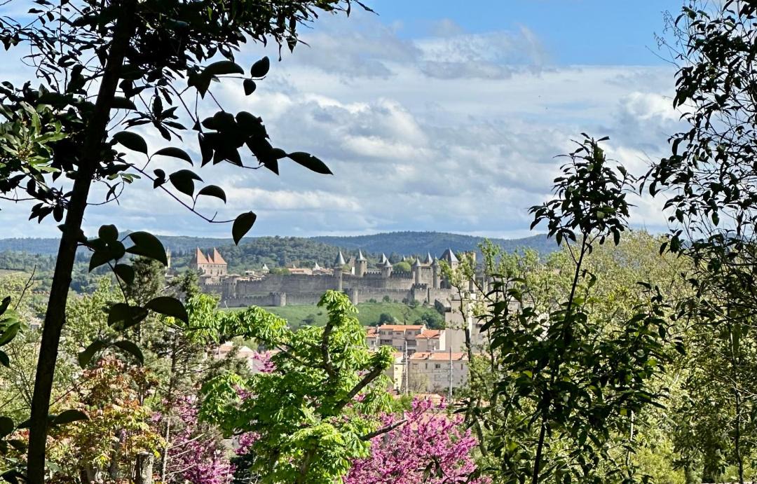 Photo of Others in Carcassonne